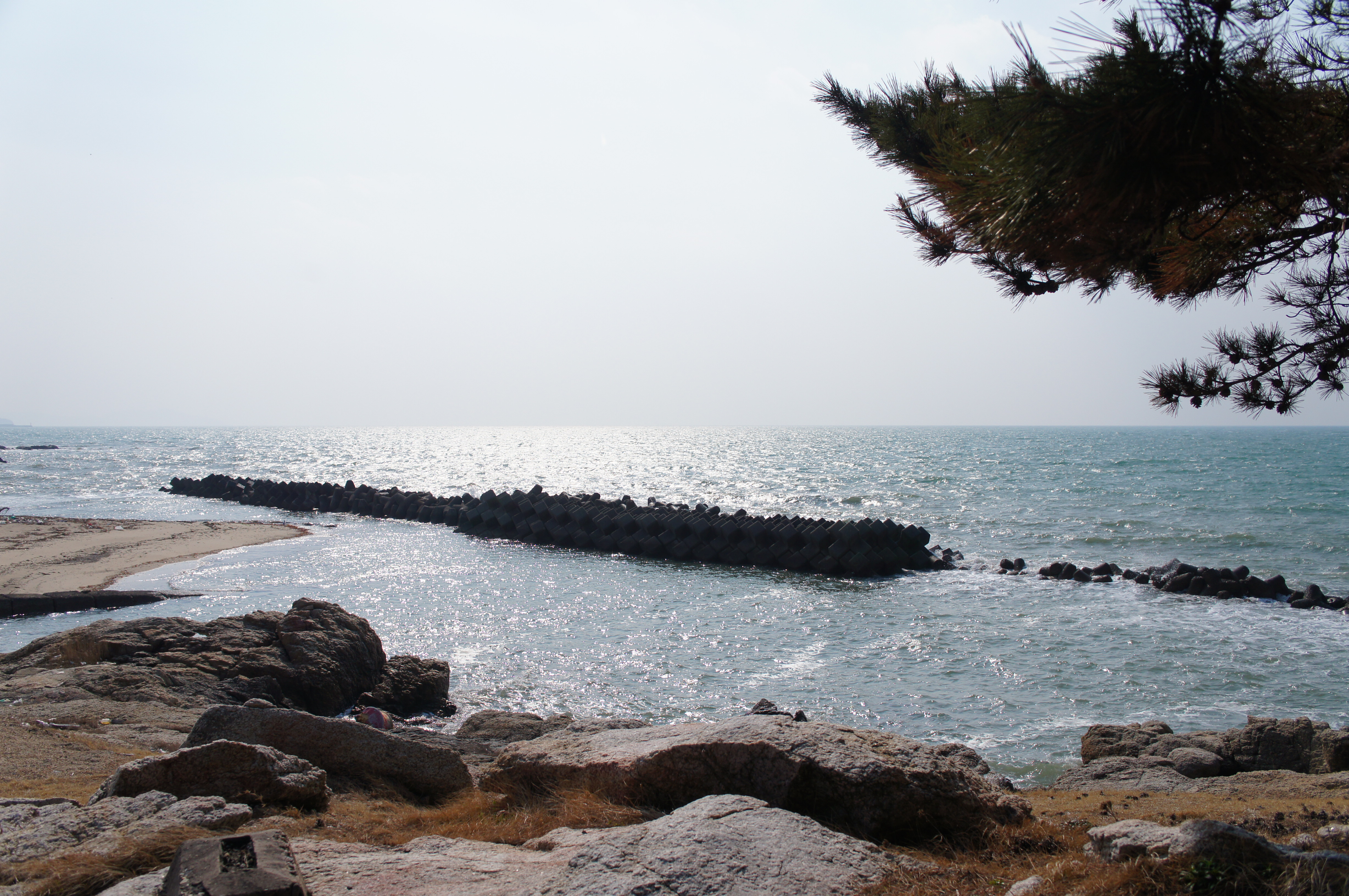 DSC09738.jpg